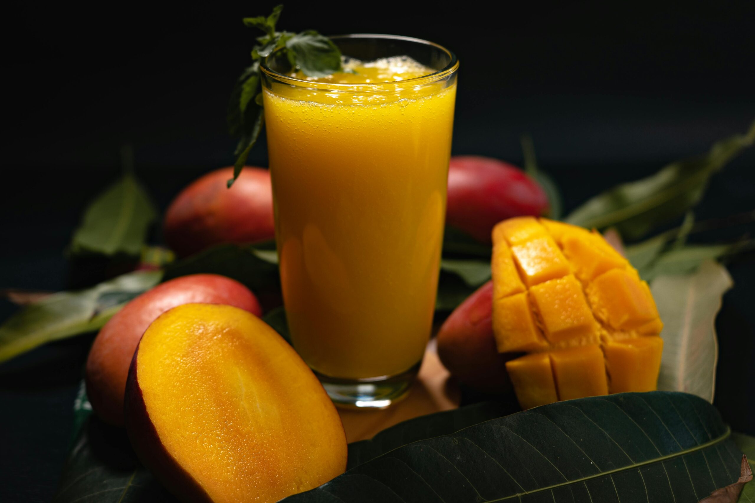 Mango farm and orchard view